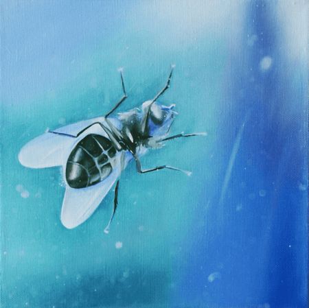Илья Близнец (Картина, живопись - 
                  25 x 25 см) Муха