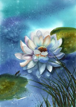 Алла Валежина (Авторская графика - 
                  30 x 42 см) Кувшинка