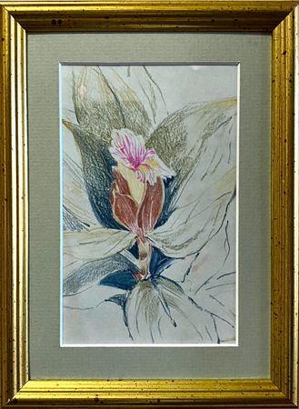 Алина Буглеева (Авторская графика - 
                  17 x 22 см) Костус