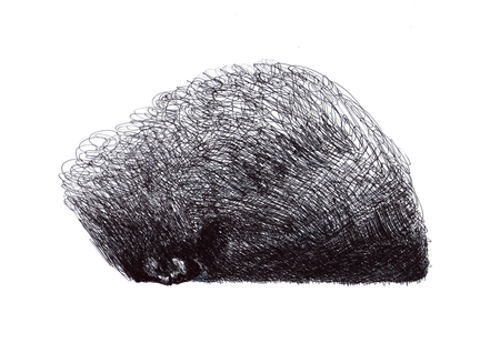 Игорь Добрун (Авторская графика - 
                  29.7 x 21 см) Спрятавшийся