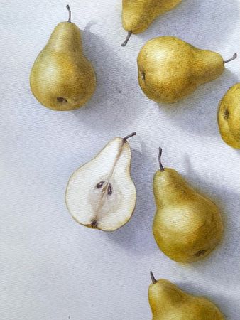 Ангелина Иванова (Авторская графика - 
                  21 x 28 см) Груши
