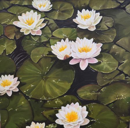 Мила Bezú (Картина, живопись - 
                  50 x 50 см) Waterlilies