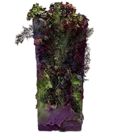 Вероника Кудашова (Объект - 
                  25 x 70 см) Самовозрождаясь № 2