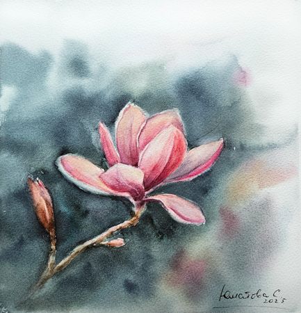 Светлана Юматова (Авторская графика - 
                  23 x 25 см) Весенняя магнолия