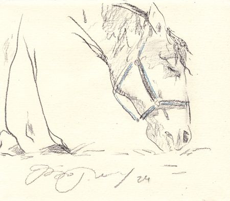 Надежда Воронцова (Авторская графика - 
                  20 x 17 см) Ветер 2