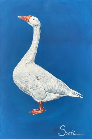 Светлана Евсеева (Картина, живопись - 
                  40 x 60 см) Гусь на синем фоне