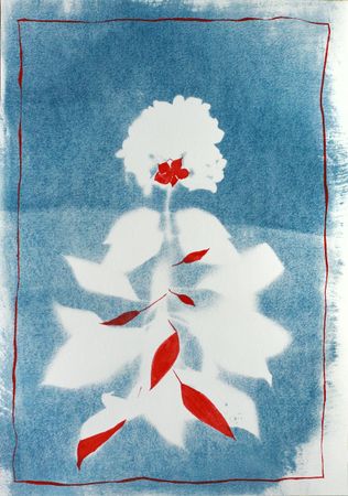 Дарья Парий (Графика печатная - 
                  29.7 x 42 см) Гортензия nova nulla