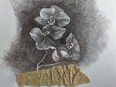 Наталия Рокотова (Авторская графика - 
                  28 x 20 см) Орхидея