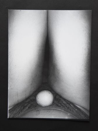 Оля Махно (Фотография - 
                  21 x 29.7 см) Инкубатор