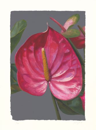 Александра Вертинская (Графика печатная - 
                  50 x 60 см) III