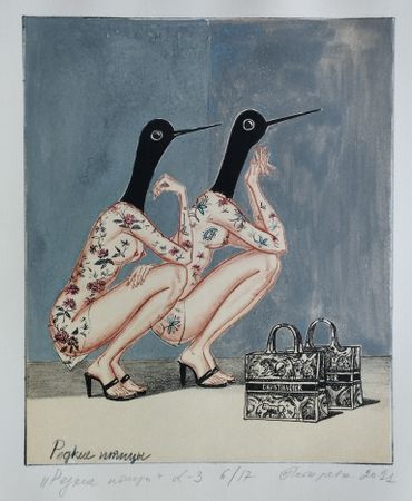Наталья Лотарева (Графика печатная - 
                  35.5 x 47 см) "Редкие птицы" №6