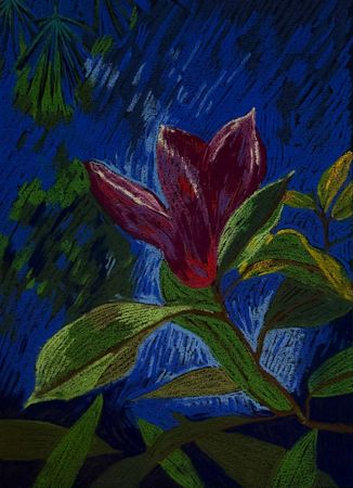 Алена Сокольникова (Авторская графика - 
                  29.5 x 40 см) Цветы