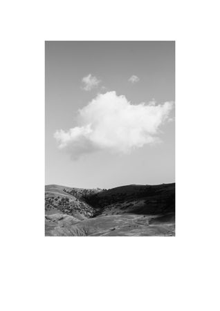 Кристина Сергеева (Фотография - 
                  40 x 60 см) Shunya VIII