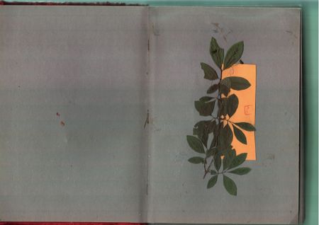 Антон Шульгин (Коллаж / ассамбляж - 
                  29.7 x 42 см) Русский альбом (Красный)