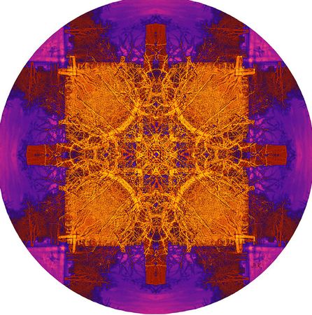 Лариса Корж (Графика цифровая (принты) - 
                  30 x 30 см) Таинственный лес