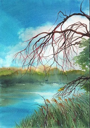 Алла Валежина (Авторская графика - 
                  30 x 42 см) Иволга у реки