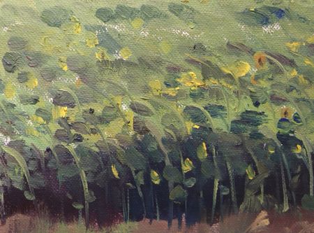 Регина Буглеева (Картина, живопись - 
                  40 x 40 см) Поле подсолнухов