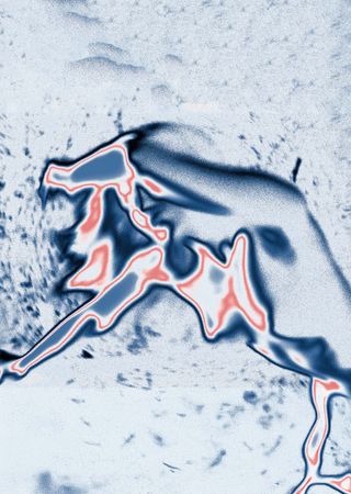 Анна Шувалова (Фотография - 
                  42 x 52 см) CTRL–Other #9