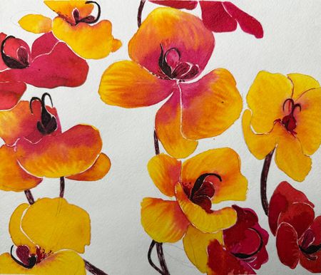 Алена Сокольникова (Авторская графика - 
                  23 x 26 см) Орхидеи