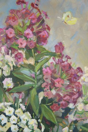 Елена Санина (Картина, живопись - 
                  33 x 42 см) Флоксы