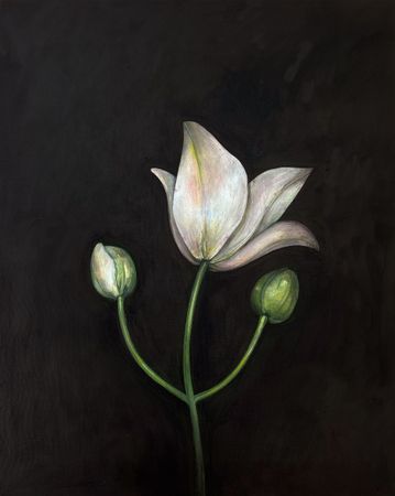 Оля Душкина (Картина, живопись - 
                  40 x 50 см) Обратная сторона благовещения