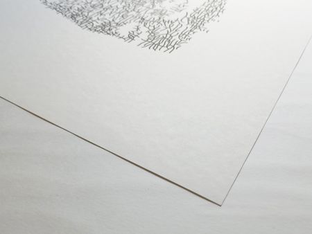 Анастасия Левина (Авторская графика - 
                  50 x 70 см) Мужской портрет