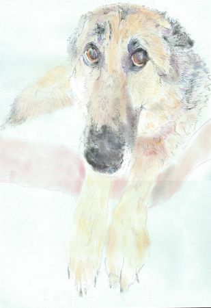 Саша Медведева (Авторская графика - 
                  34 x 50 см) Что-то потеряли?