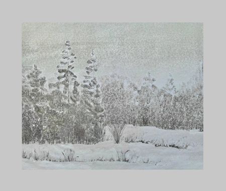 Мария Стадник (Графика печатная - 
                  50 x 41 см) Сосны