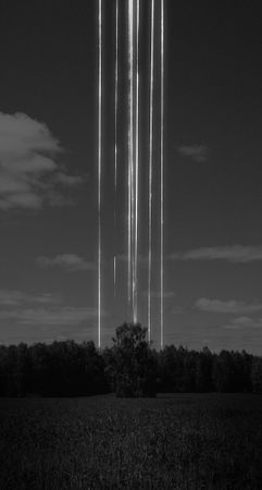 Денис Будилов (Фотография - 
                  80 x 150 см) CDR UMI