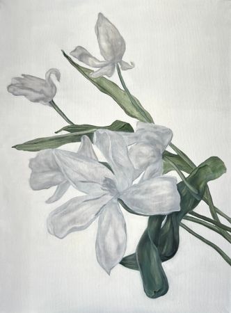 Инна Сумина (Картина, живопись - 
                  60 x 80 см) Белая элегия