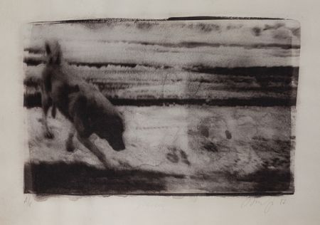Алексей Веселовский (Графика печатная - 
                  50 x 70 см) Snow Dog