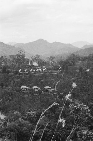 Elizaveta Kopacheva (Фотография - 
                  42 x 59 см) Sri Lanka Nuwara Eliya | Шри-Ланка Нувара-Элия