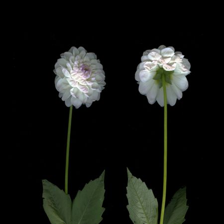 Катя Исаева (Фотография - 
                  30 x 30 см) Я с тобой разговариваю. Диалог 2