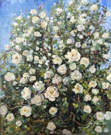 Галина Третьякова (Картина, живопись - 
                  50 x 60 см) Шиповник цветение