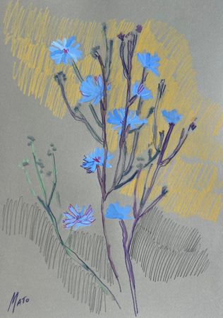 Александра Мато (Авторская графика - 
                  30 x 40 см) Цветы