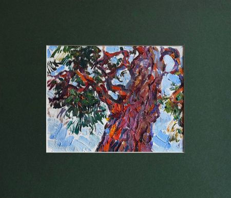 Илья Хахарев (Картина, живопись - 
                  35 x 30 см) Крымская сосна
