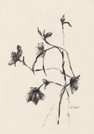Виктория Зарецкая (embrassé par la muse) (Авторская графика - 
                  21 x 29.7 см) Fleur 07