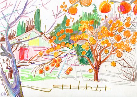 Олеся Лишаева (Авторская графика - 
                  30 x 21 см) Хурма