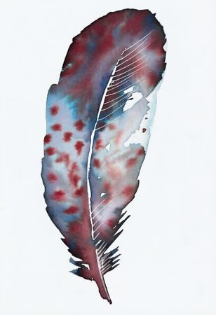 София Альбрехт (Авторская графика - 
                  14.6 x 20.8 см) ПЕРЬЯ №9. FEATHERS NO. 9