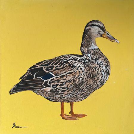 Светлана Евсеева (Картина, живопись - 
                  40 x 40 см) Утка