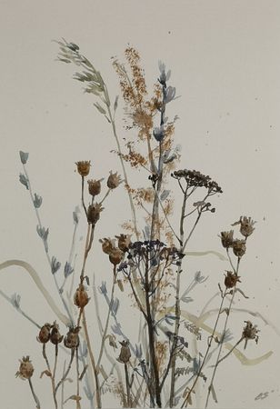 Елена Санина (Авторская графика - 
                  30 x 42 см) Травы