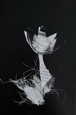 Маша Иванова (Фотография - 
                  15 x 20 см) Узи (из серии Тю)