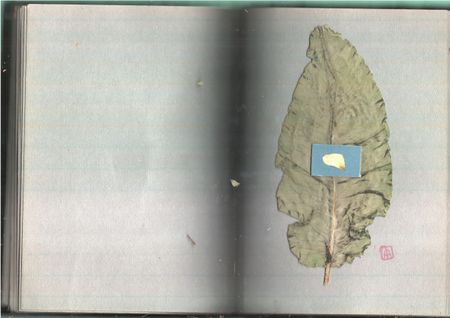 Антон Шульгин (Коллаж / ассамбляж - 
                  29.7 x 42 см) Русский альбом (Красный)