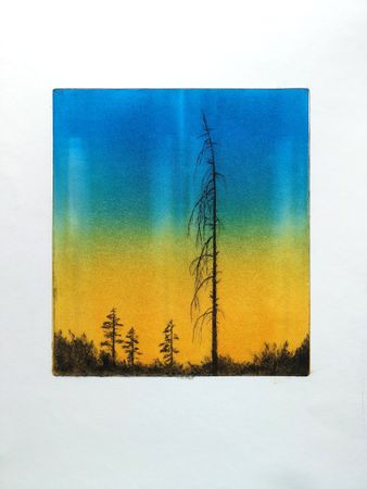 Елизавета Здоровец (Графика печатная - 
                  35 x 41 см) Сосна