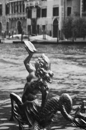 Lizabet Grace (Фотография - 
                  21 x 30 см) Venice Mermaid | Венеция Русалка