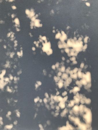 Альбина Белова (Фотография - 
                  42 x 56 см) Зеркало теней