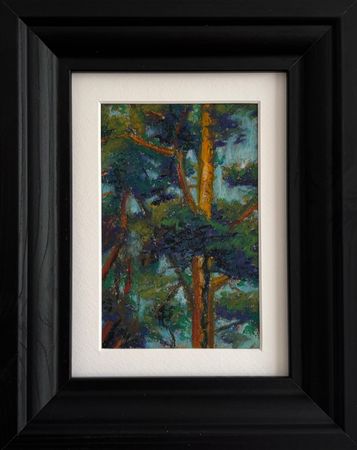 Елена Емельянова (Авторская графика - 
                  20 x 25 см) О солнце в верхушках