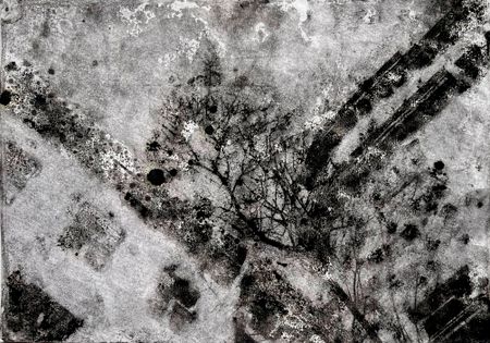 Мария Спроге (Графика печатная - 
                  20 x 30 см) К свету