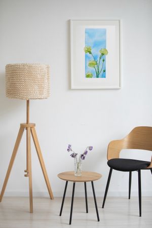 Оливия Лем (Авторская графика - 
                  25 x 35 см) Гвоздики вне рамок