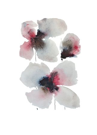 Тани Соул (Авторская графика - 
                  15 x 21 см) Серые цветы с розовым сиянием